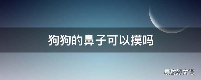 狗狗的鼻子可以摸吗