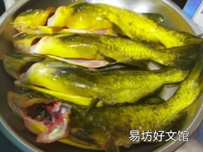黄骨鱼怎么做好吃又简单