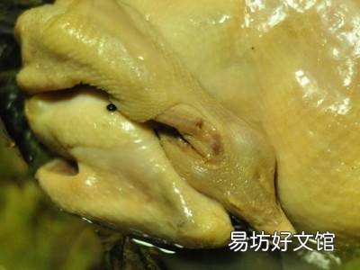 荷叶怎么吃