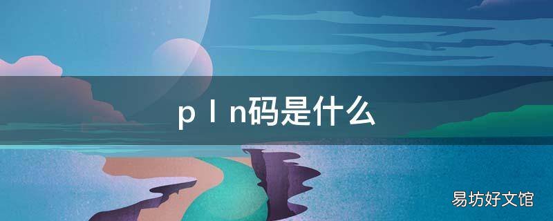 pⅠn码是什么