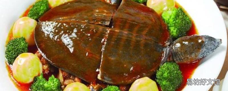 甲鱼怎么吃