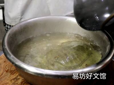 甲鱼怎么吃