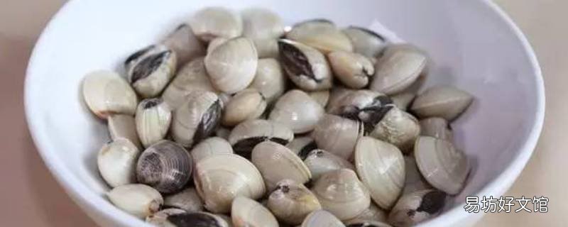 白贝怎么吐沙
