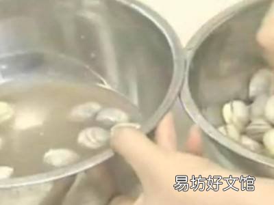 白贝怎么吐沙
