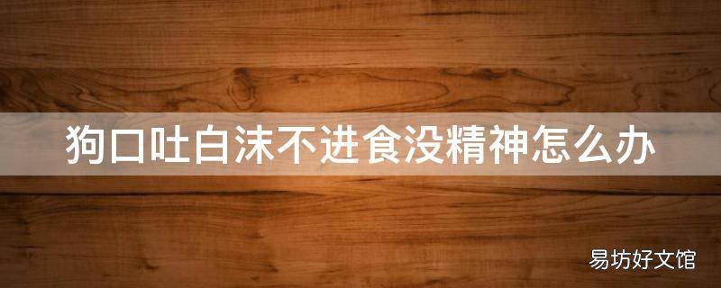 狗口吐白沫不进食没精神怎么办