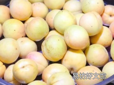杏干简单的做法怎么做好吃