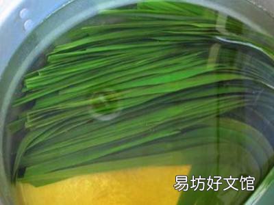怎样煮粽叶有韧性