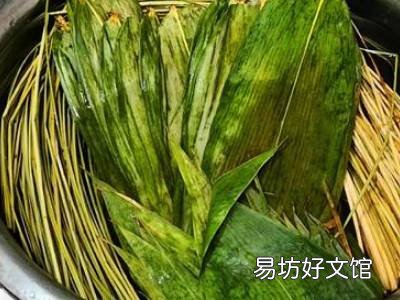 怎样煮粽叶有韧性