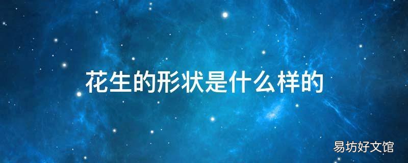 花生的形状是什么样的