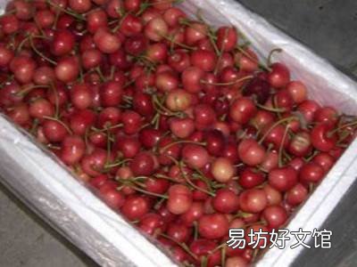 樱桃储存方法和时间
