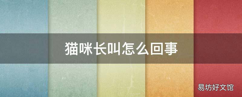 猫咪长叫怎么回事