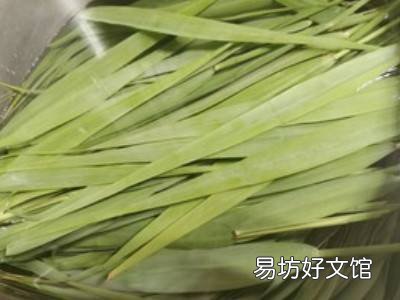 新鲜芦苇叶怎么处理才能包粽子