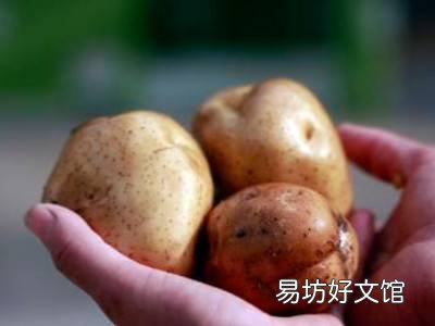 怎么晒土豆干不变黑
