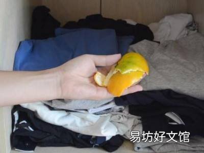 怎么防蟑螂