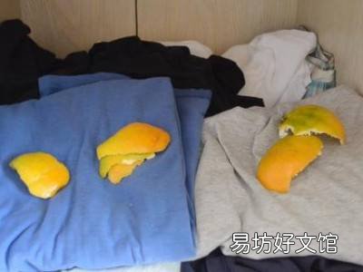 怎么防蟑螂