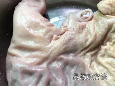 猪肚怎么煮