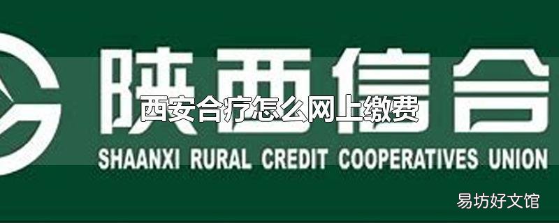 西安合疗怎么网上缴费