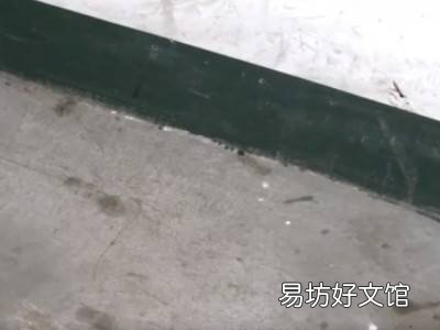 家里有像蜈蚣一样的虫怎么办