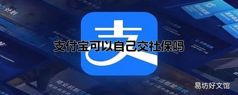 支付宝可以自己交社保吗