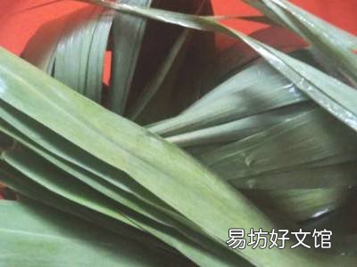 粽叶怎么保存到冬天用