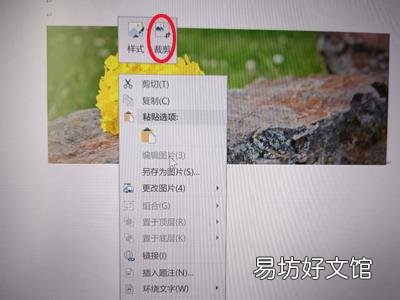 word怎么自由裁剪多余的