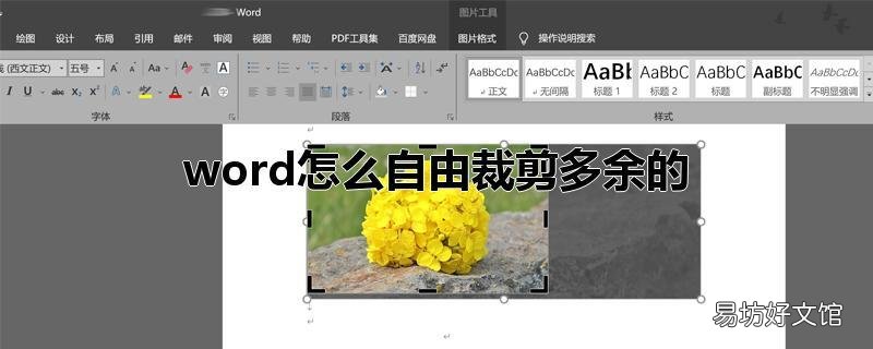 word怎么自由裁剪多余的