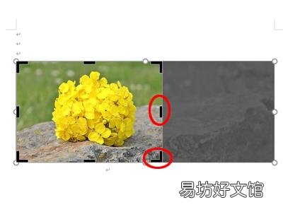 word怎么自由裁剪多余的