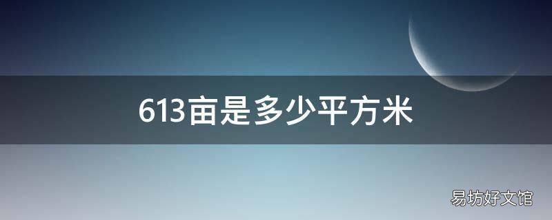 613亩是多少平方米