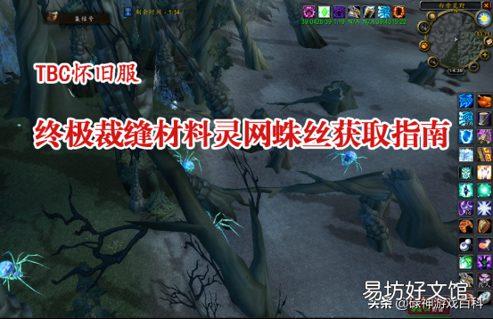 魔兽灵网蜘蛛丝获取方法 灵网蜘蛛丝在哪刷