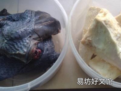 榴莲煲汤怎么做