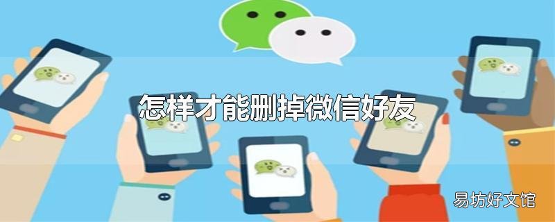 怎样才能删掉微信好友