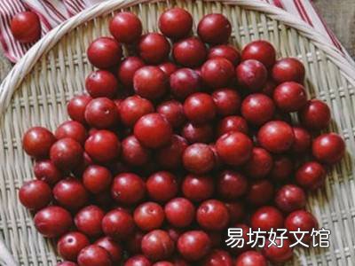李子酿酒方法和步骤
