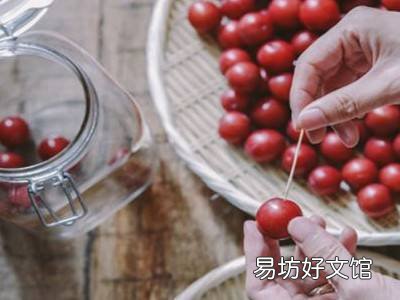 李子酿酒方法和步骤