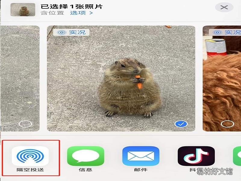 live图怎么发给别人