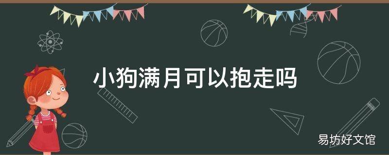 小狗满月可以抱走吗