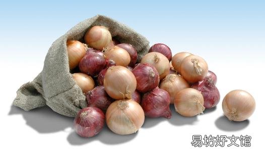 为什么洋葱在全世界都那么受欢迎