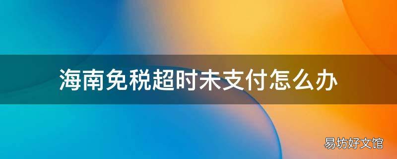 海南免税超时未支付怎么办