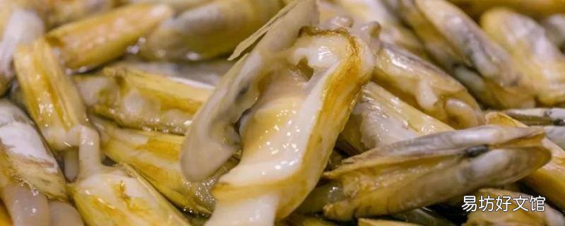 冷冻蛏子肉怎么做好吃