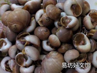 海螺怎么做好吃又简单
