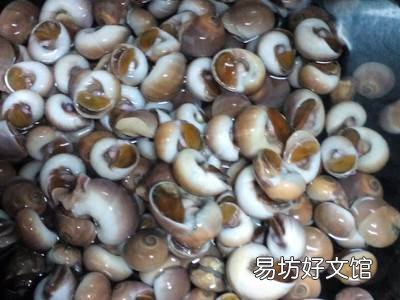 海螺怎么做好吃又简单