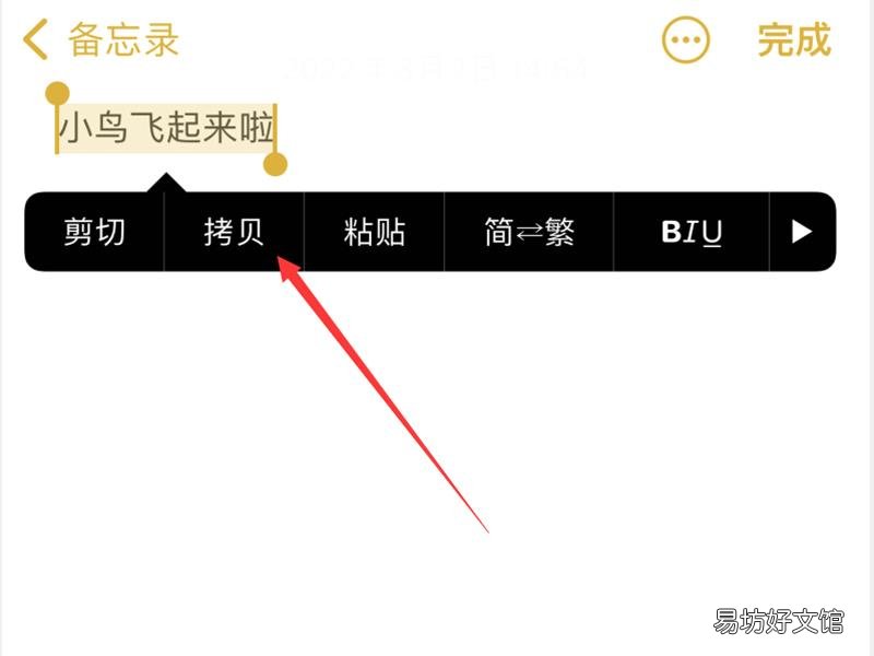 苹果怎么复制