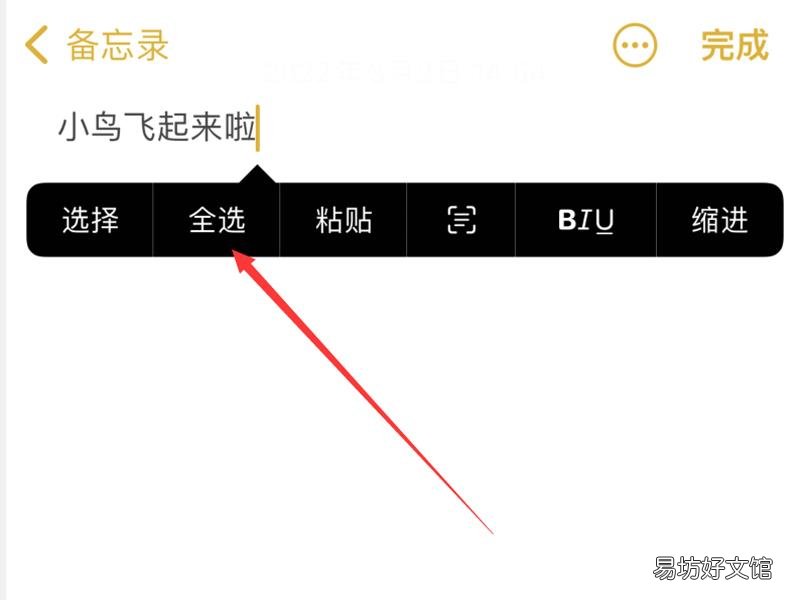 苹果怎么复制