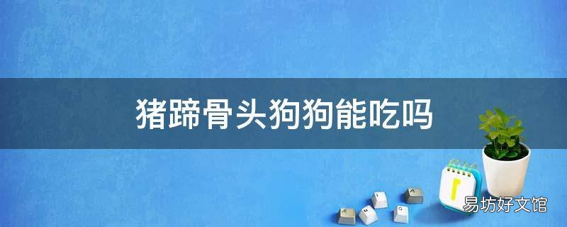 猪蹄骨头狗狗能吃吗