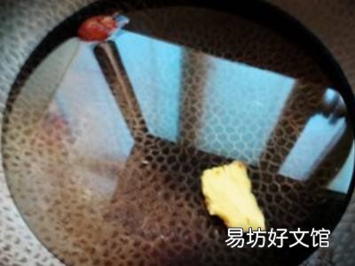 凉白肉怎么做
