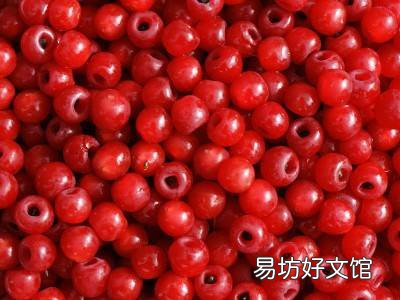 红豆杉泡酒的正确方法