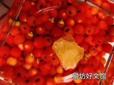 红豆杉泡酒的正确方法