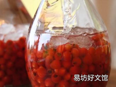 红豆杉泡酒的正确方法