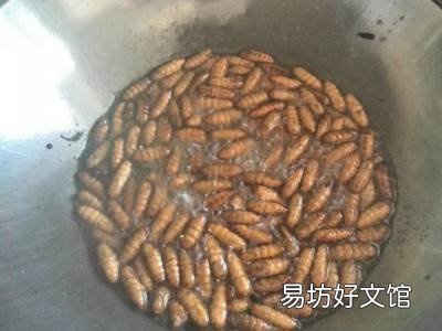 冻蚕蛹怎么吃
