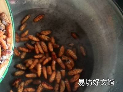 冻蚕蛹怎么吃