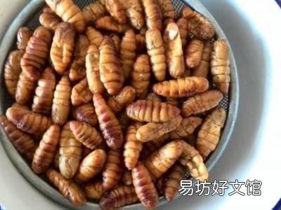 冻蚕蛹怎么吃